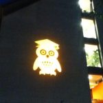 The owl of the Researchers' Night